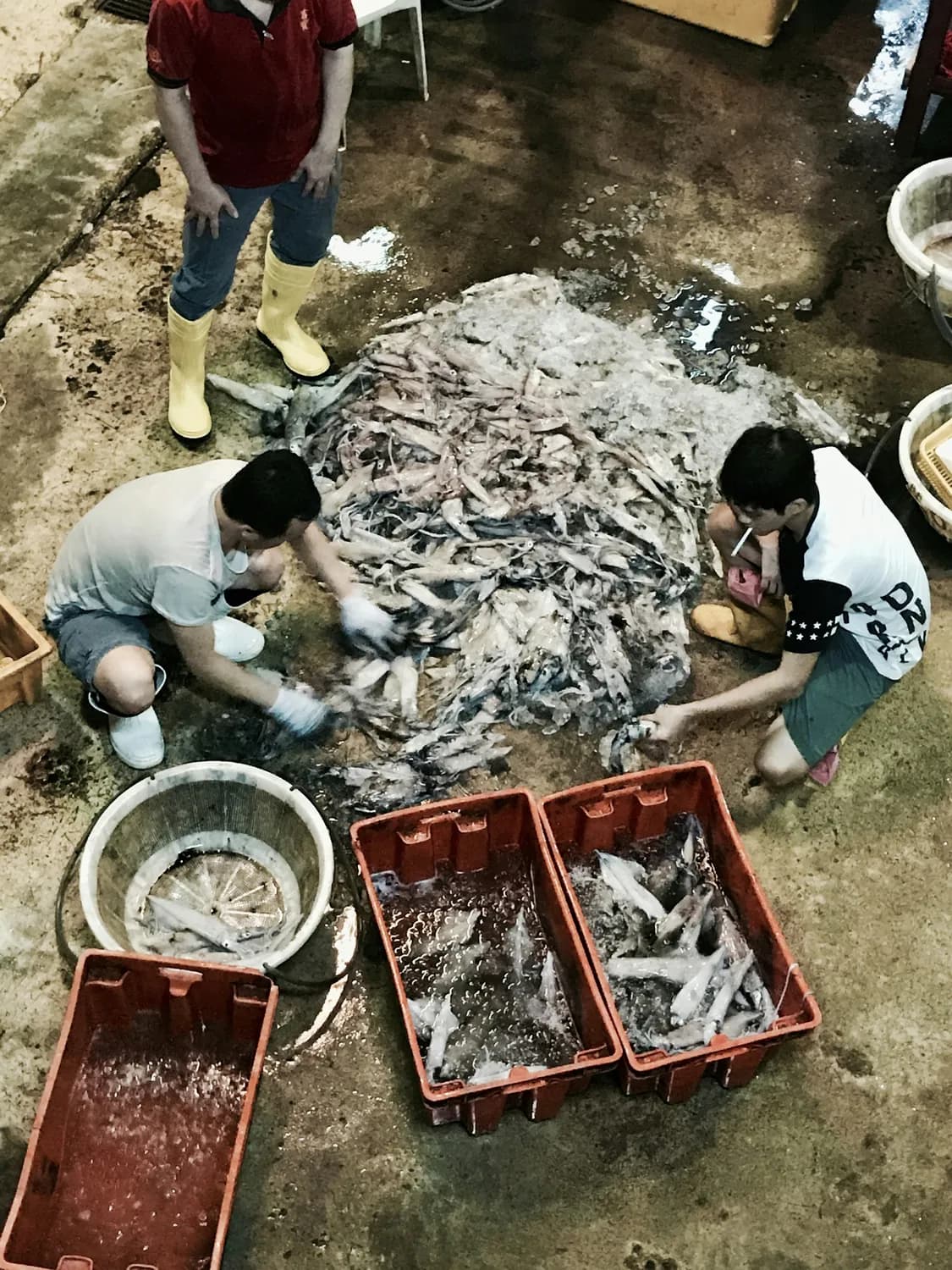 顺德鱼生：世界美食之都的味蕾传奇