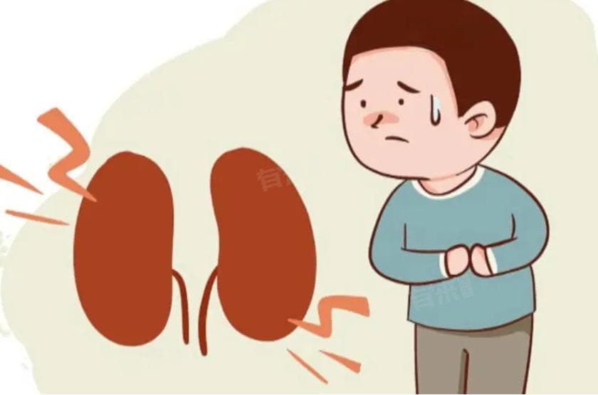 膜性肾病治疗方案