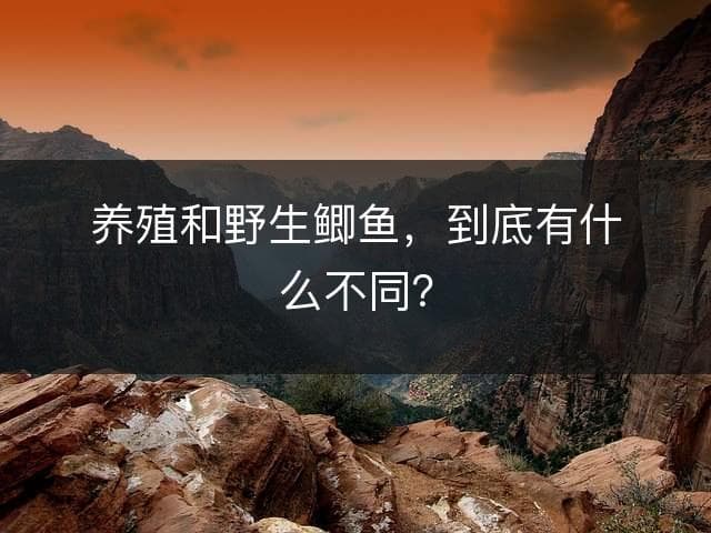 养殖鲫鱼与野生鲫鱼：一场关于品质与安全的较量