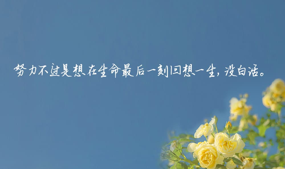 如何用优美语言描写大海：精选句子与写作技巧