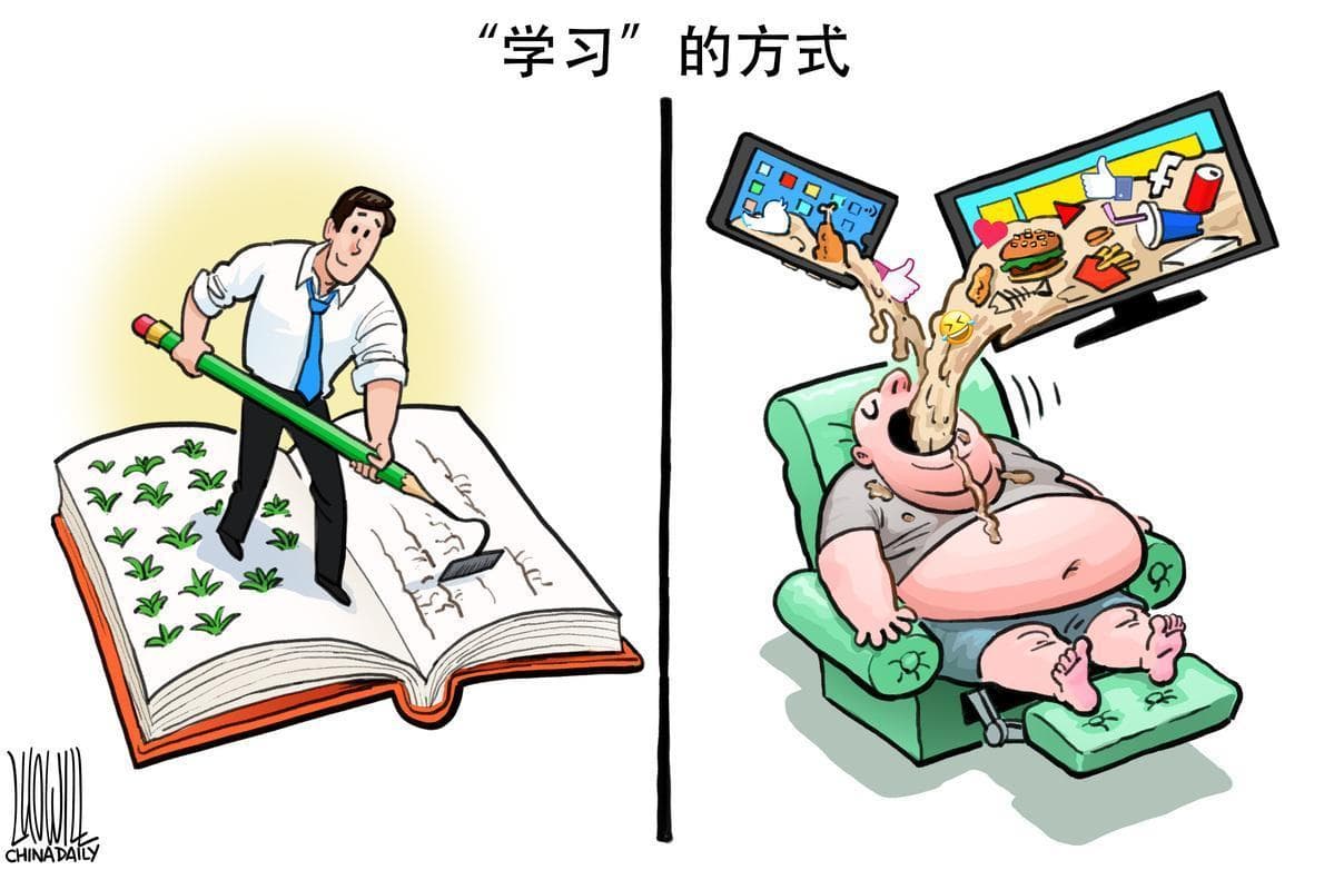 在高效学习与深度思考中崛起