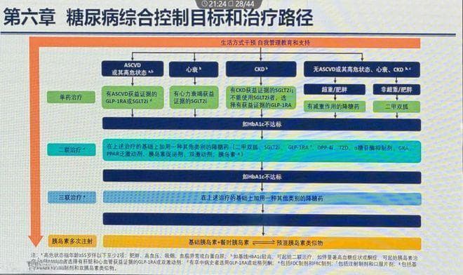 CDS 2024：朱大龙解读糖尿病防治新指南