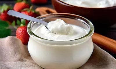 食品中乳酸菌种类及其应用前景探究
