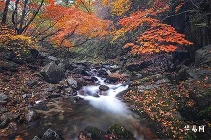 天干何时可合化？天干地支合化条件与详解