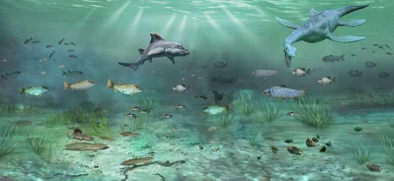 古生物学家发现三叠纪大灭绝后最古老的湖泊生态系统