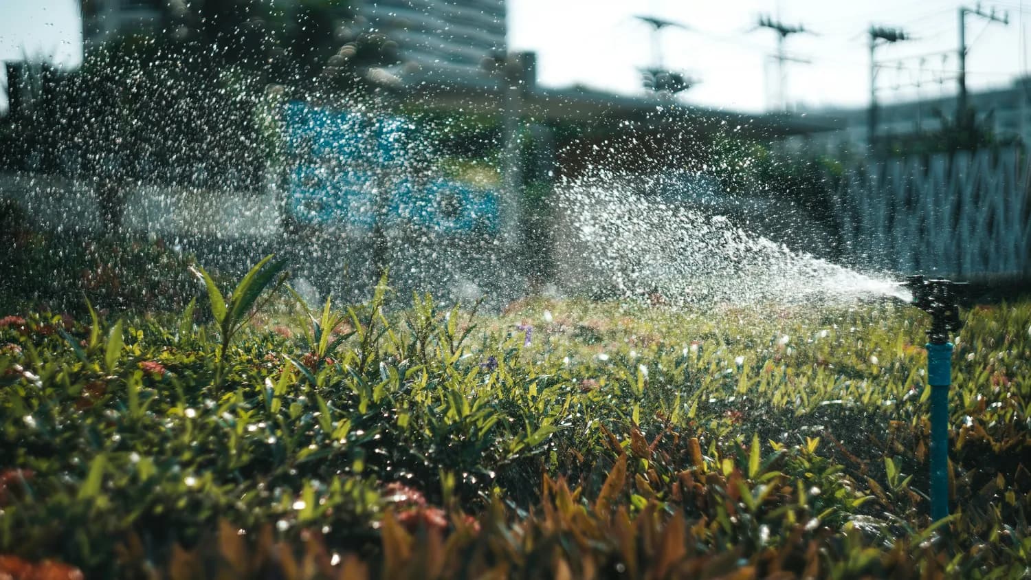 北京禁用自来水浇小区绿化，再生水和雨水成新选择