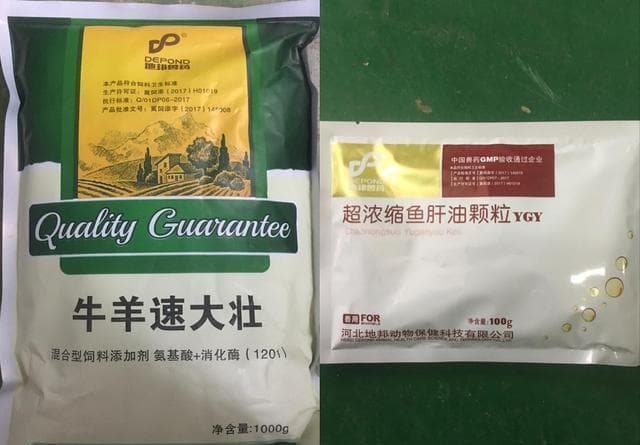 21种最常见牛病的治疗方法