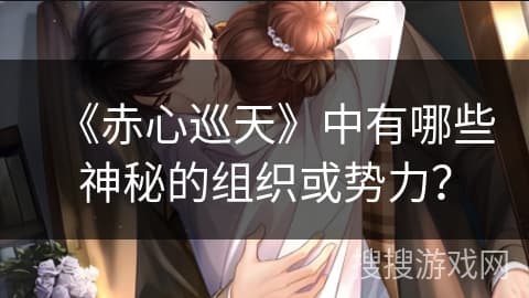 《赤心巡天》中有哪些神秘的组织或势力？