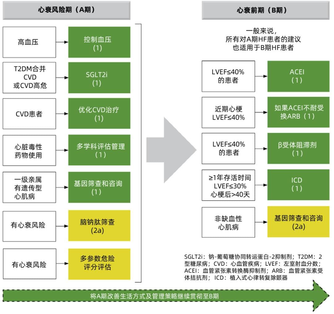 从心衰预防、治疗到康复，指南建议这样做