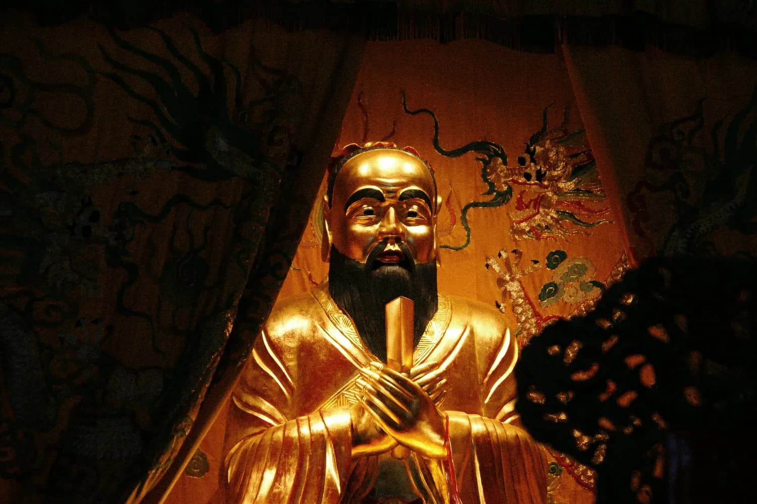 兰花：从古代君子之花到现代园艺明珠