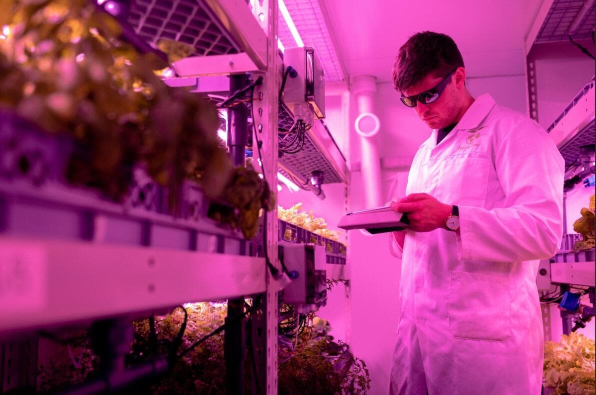 集装箱植物工厂中，如何优化植物生长速度