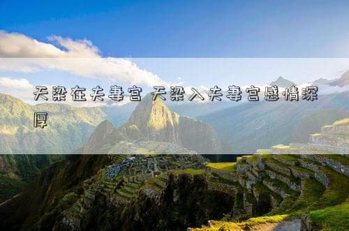 天梁在夫妻宫 天梁入夫妻宫感情深厚