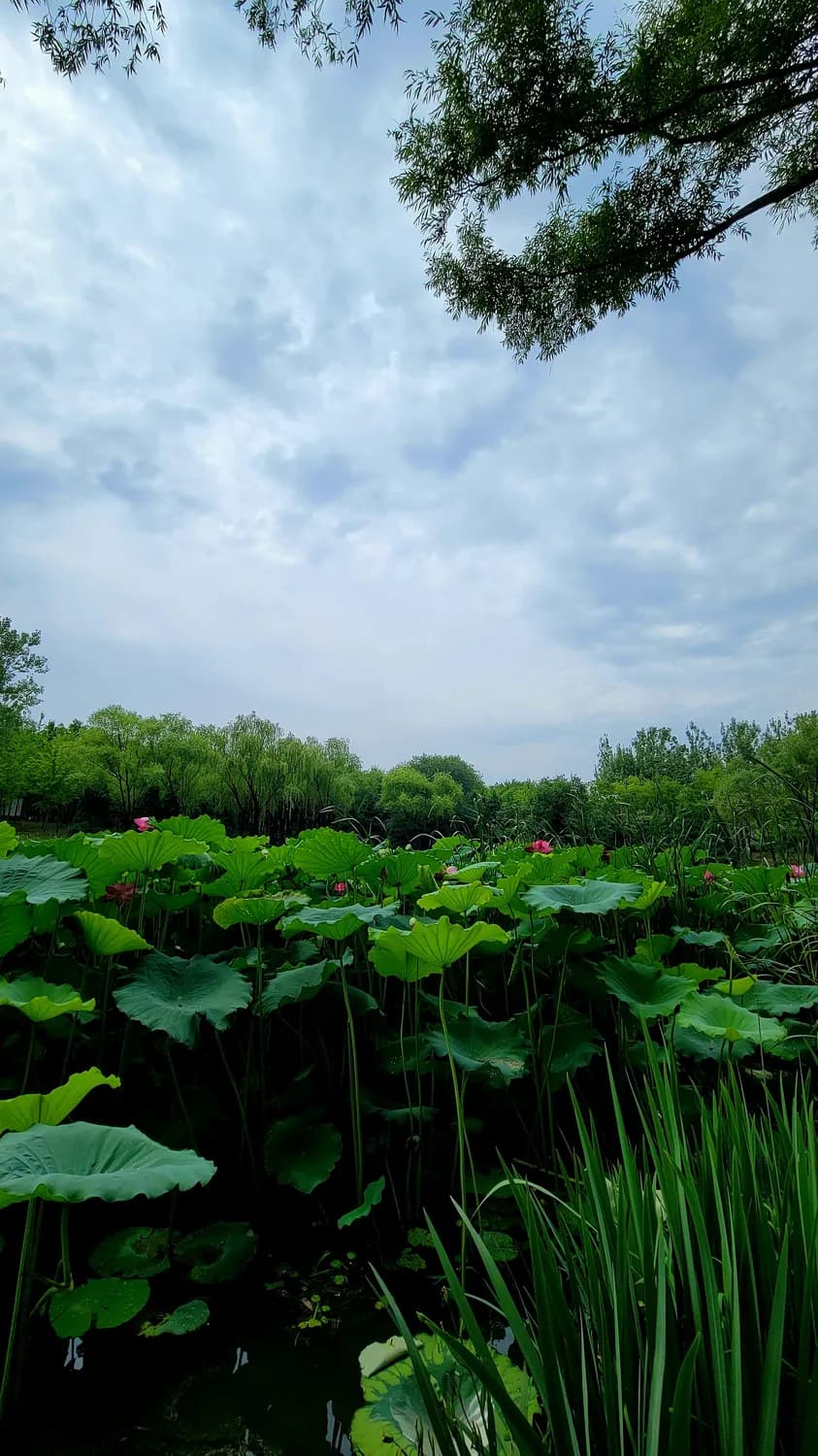 南浔古镇：浙江最美水乡打卡地