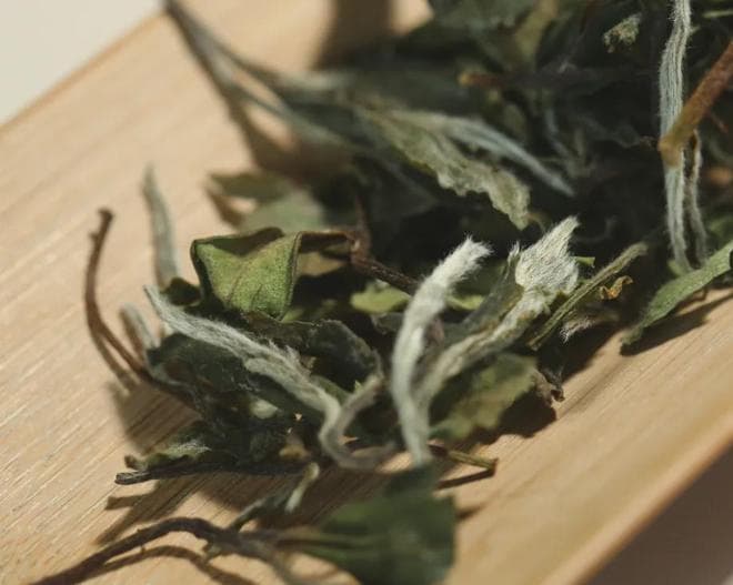 白茶的四种冲泡方法