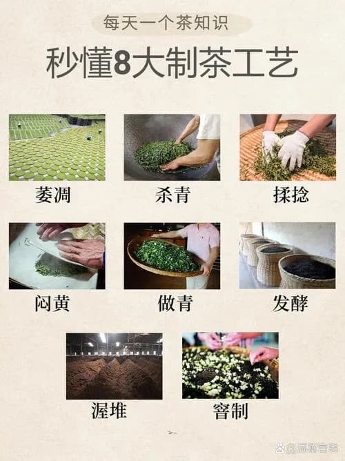 茶叶添加香精工艺：传统与现代融合的精湛技艺