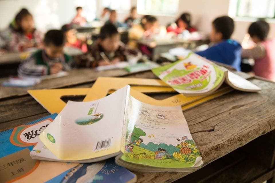新课标“课文”变“阅读”：从单薄到厚重，从当下到终身