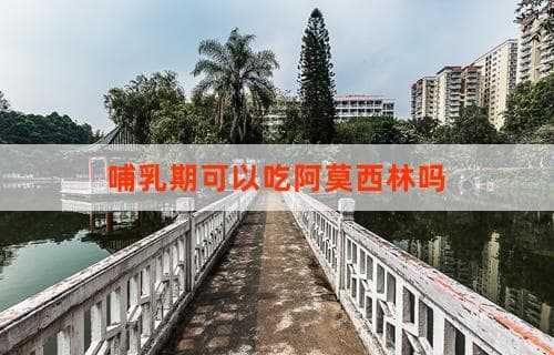 哺乳期可以吃阿莫西林吗？一文解答您的疑惑