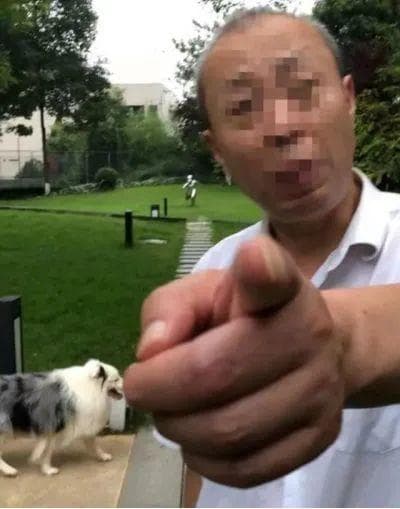 遛狗拴绳，文明养犬的重要一步！