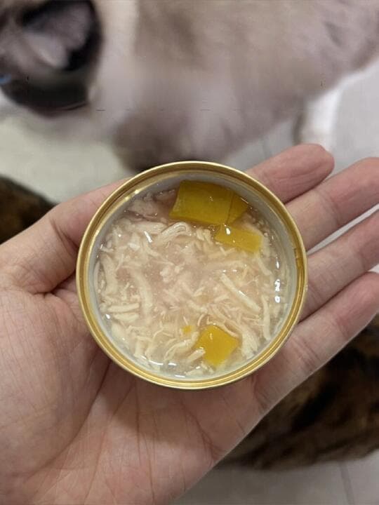 猫罐头安全吗？如何为猫咪挑选安全健康的猫罐头？
