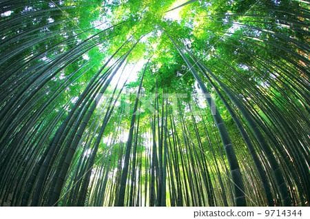 劫财与比肩的区别：两大十神的对比解析