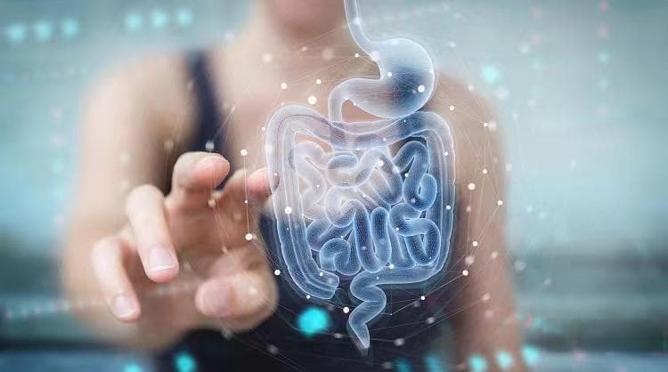 焦虑抑郁会影响你的肠道健康吗？
