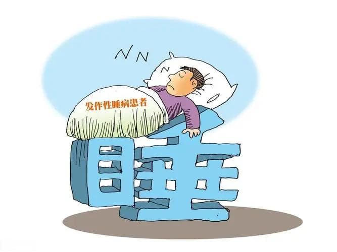 总是突然犯困？小心发作性睡病