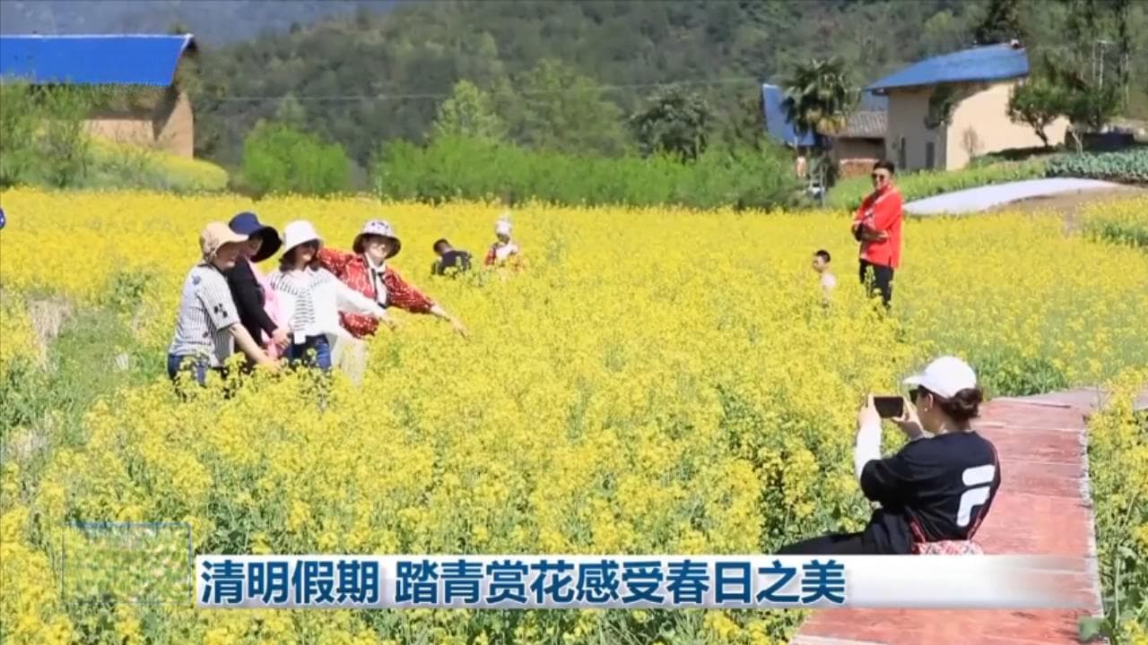清明假期 踏青赏花感受春日之美