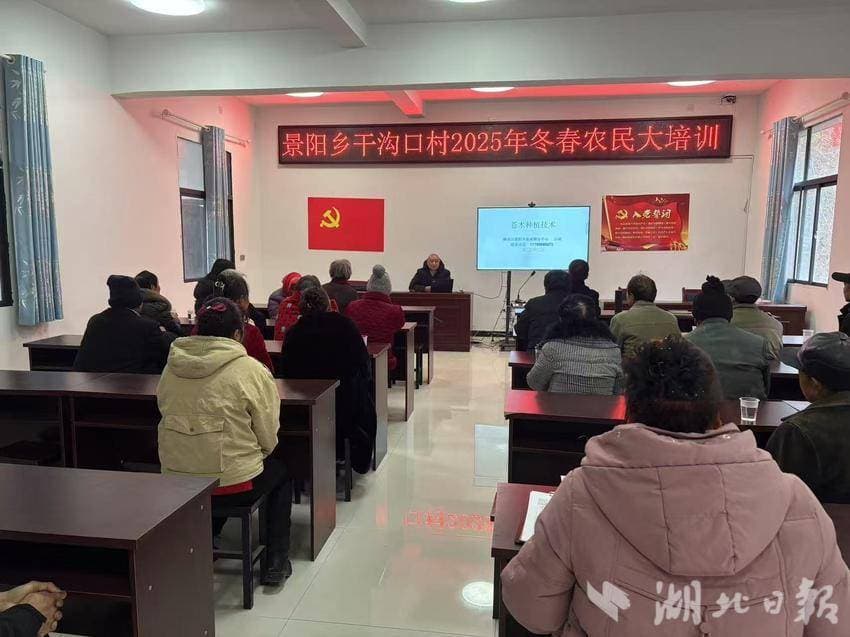 郧西景阳乡产业振兴致富有“术”