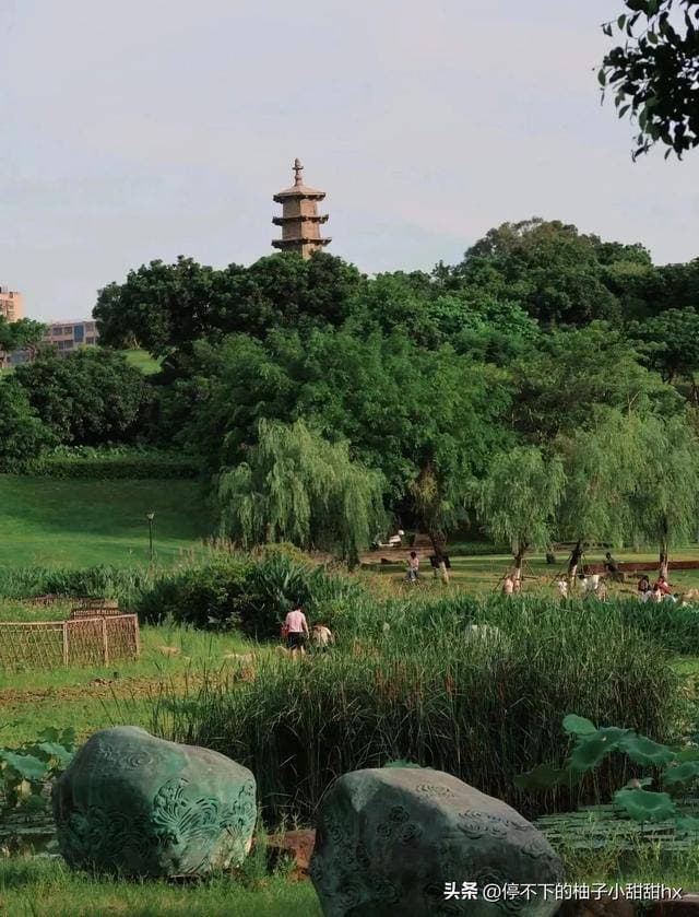 厦门文笔塔公园：从文笔塔到满园盛景