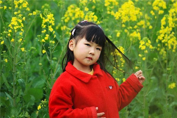 梦见死人复生预示什么 梦中死而复生的含义解析