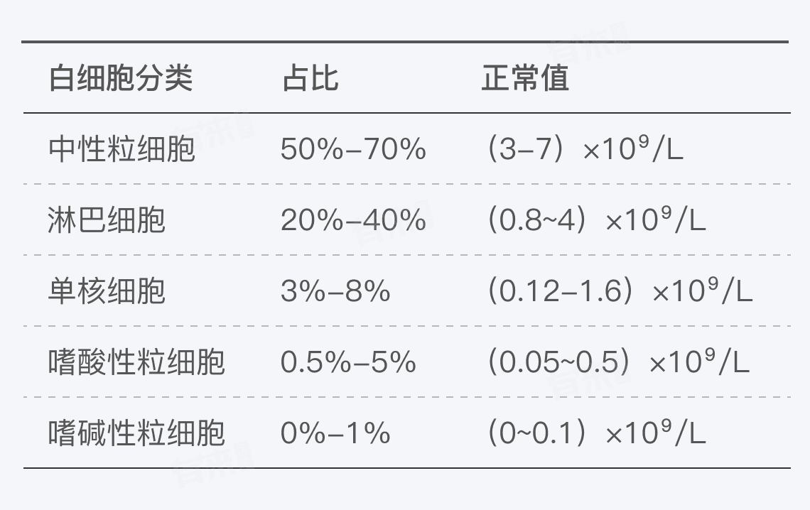 白细胞分类：三大类白细胞的形态、功能与异常情况详解
