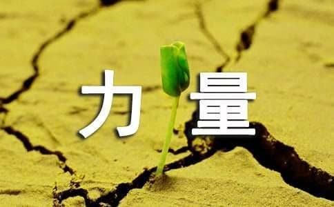 自由搏击的力量训练