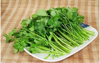 芫荽是什么 芫荽就是香菜！