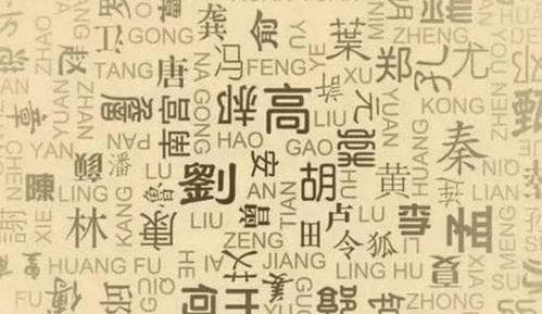 21个冷僻姓氏(冷门小众却惊艳的姓氏)