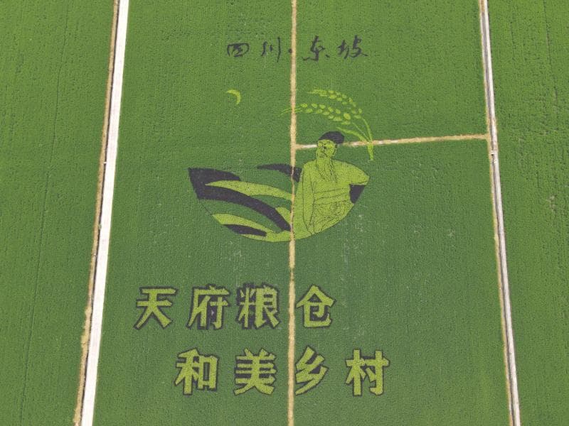 眉山市东坡区：新质生产力领航现代智慧农业好“丰”光