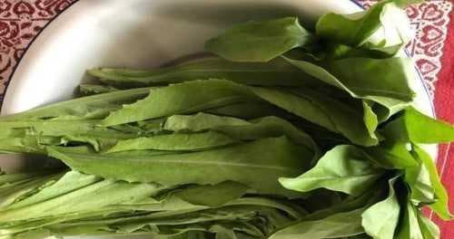 油麦菜与油菜的区别（从名称、形态、生长环境、营养价值等方面分析）