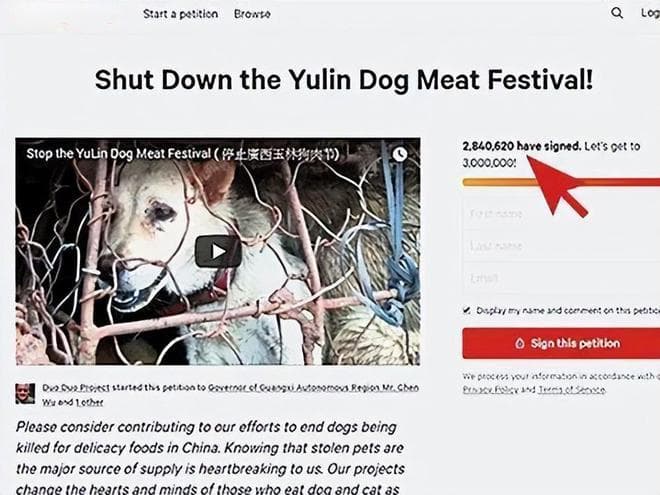 日本记者逼问玉林群众：韩国人都不吃狗肉了，为什么你们还要吃？
