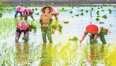 谷雨：雨生百谷，万物逢时