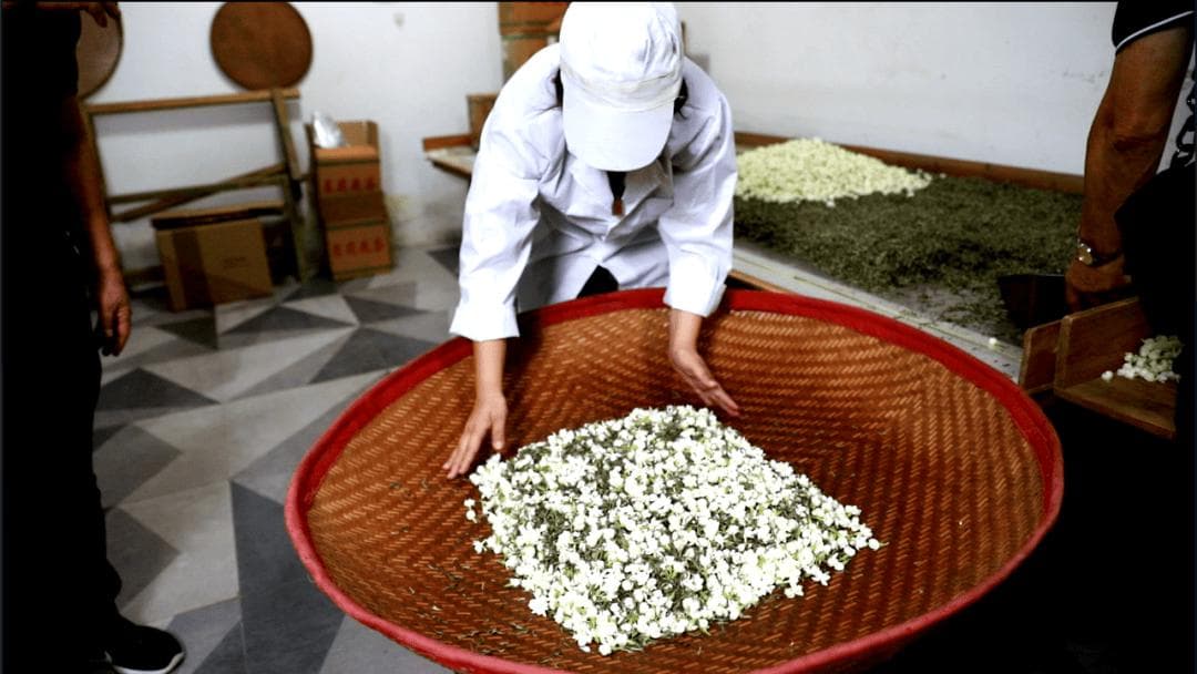 讲述“仙山”下的非遗技艺，第四期：茉莉花茶窨制工艺
