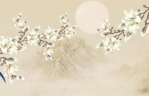 滴水不漏的生肖属相：水滴无痕生肖寻找