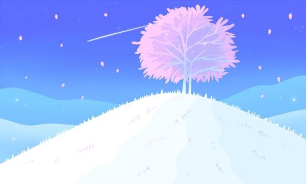 新疆大学2025录取分数线预测：2024年全国各省录取分数线汇总