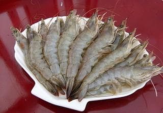 白虾的营养价值与食用禁忌