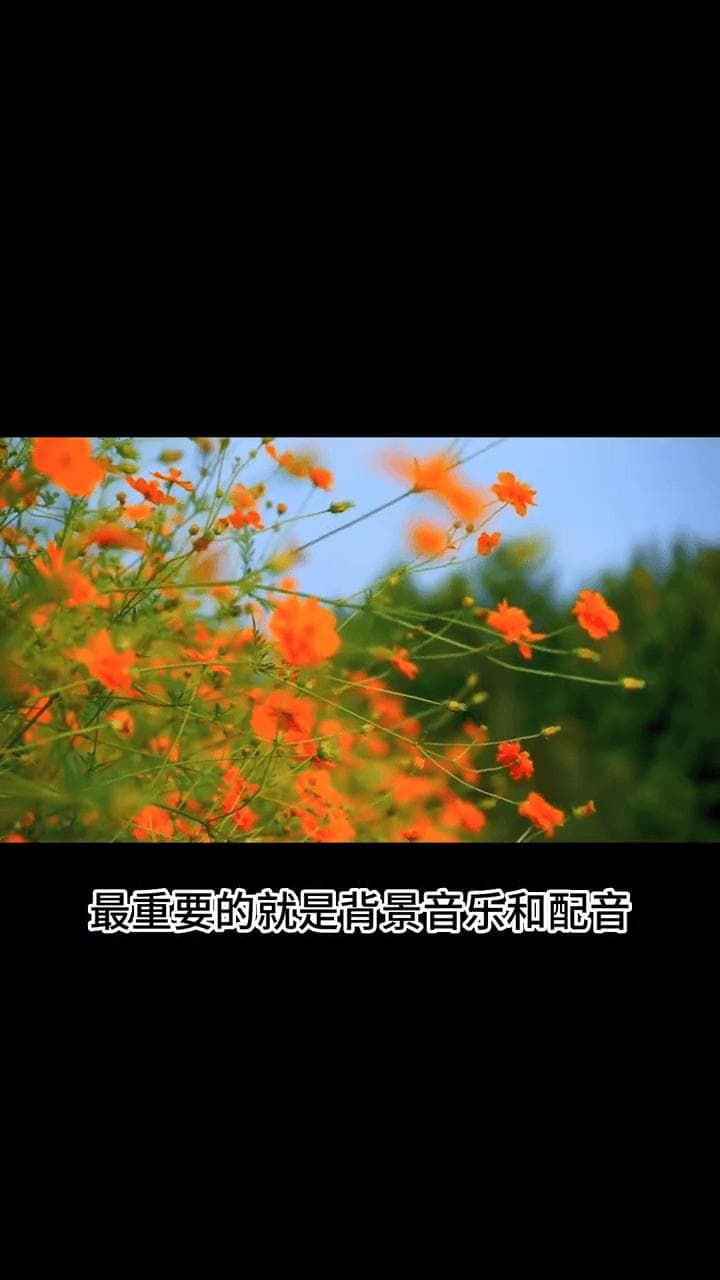 书单号视频制作指南：从背景音乐到配音技巧