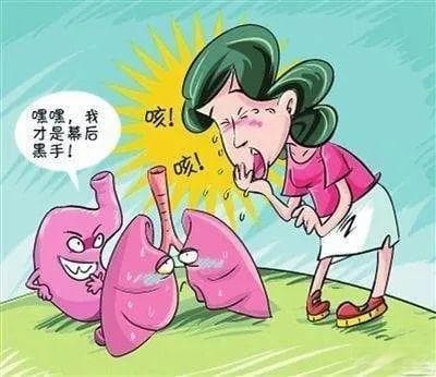 为什么说“病”在胃，却“险”在肺？