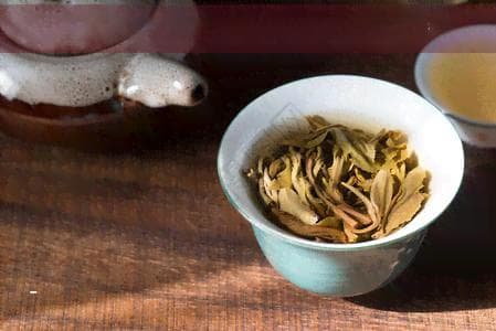 北方地区适宜种植的茶树品种及其生长适应性解析