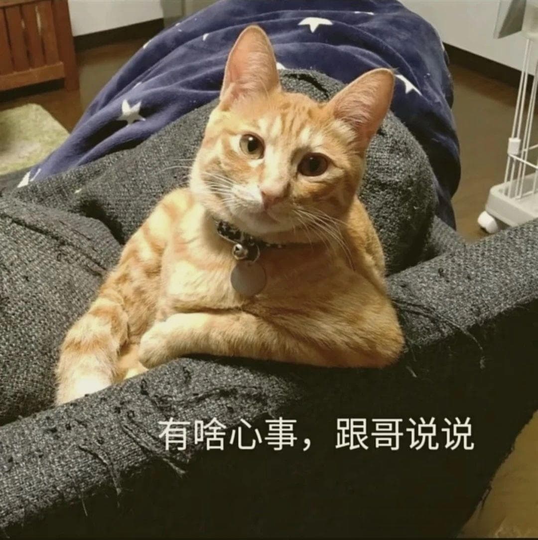 显化的高级秘密：将愿望“体验”出来，而不是“渴望”它