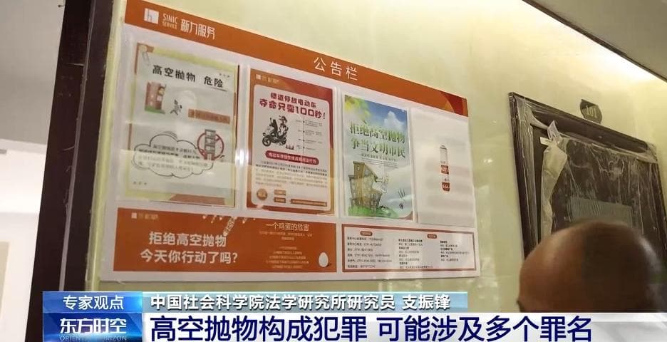 高空抛物致死案抛砖男子被执行死刑 专家详解相关法律规定