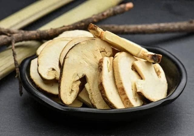 “菌中之王”——松茸，为何如此珍稀？