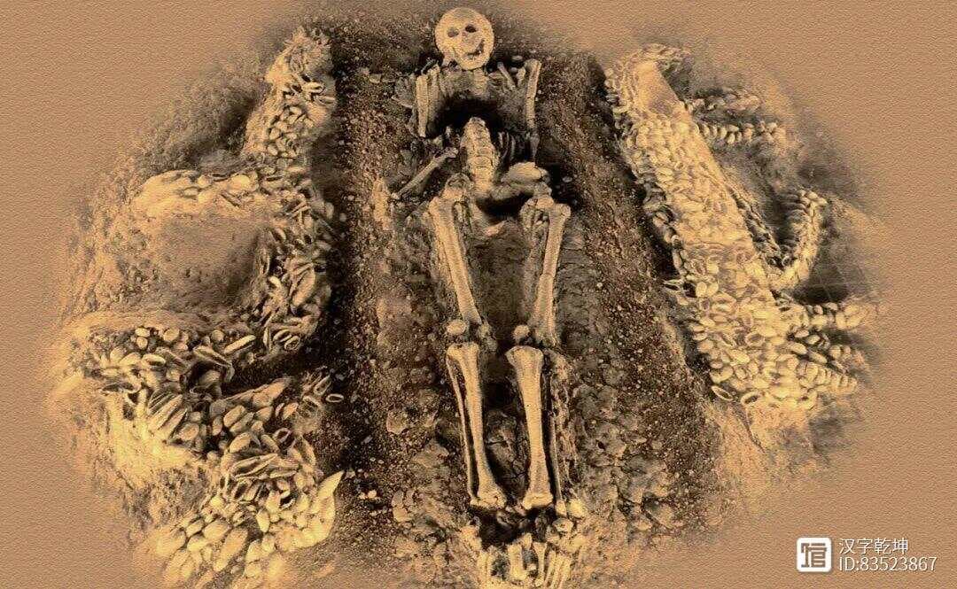 六千多年前的，中华第一龙——河南濮阳蚌壳龙！