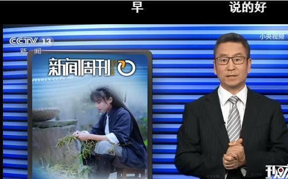 李子柒走红背后：个人努力还是团队运作？